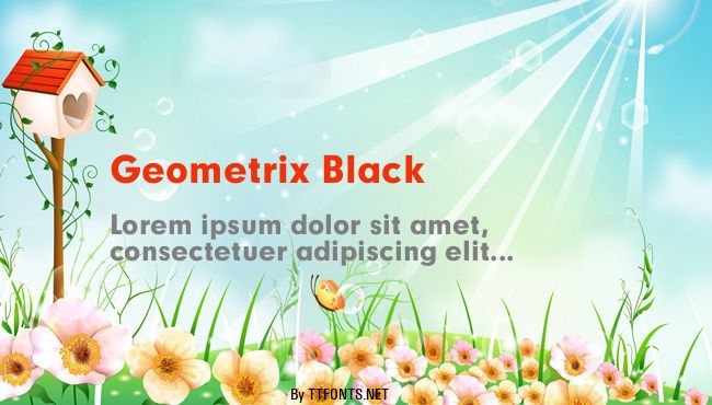 Geometrix Black example